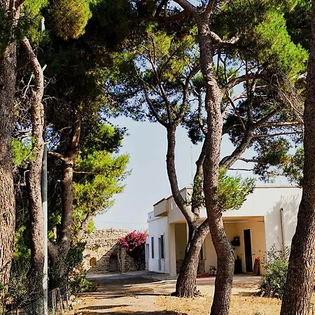 Casa Di Mezzo Alliste