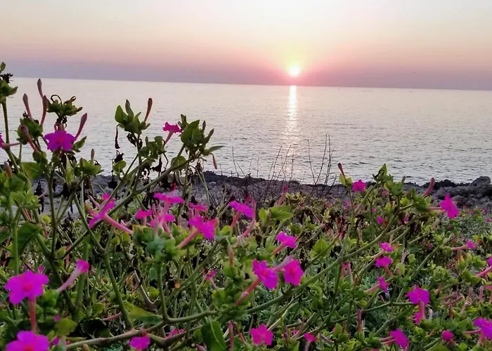 Casa Di Mezzo Alliste