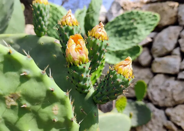 Casa vacanze Casa Di Mezzo *